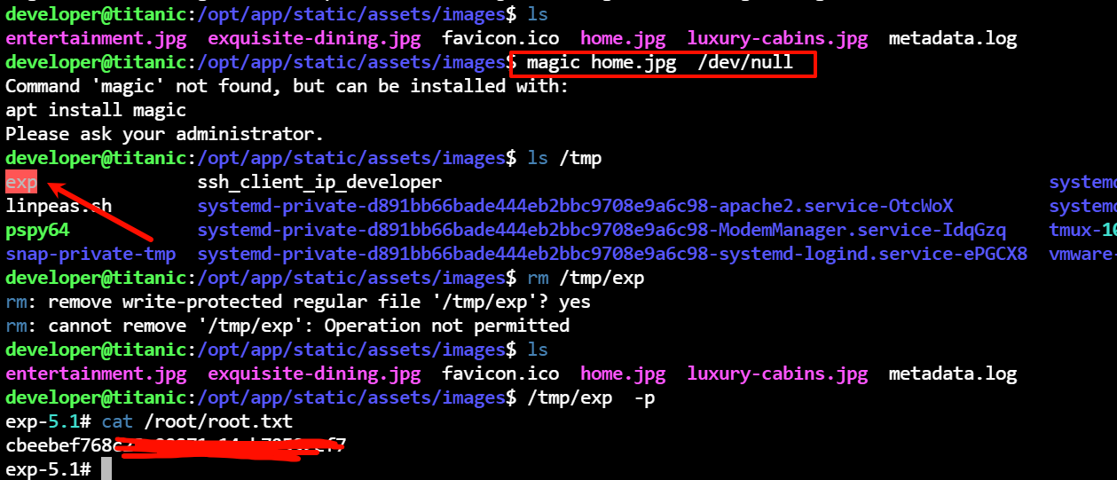 Pasted image 20250804003015.png